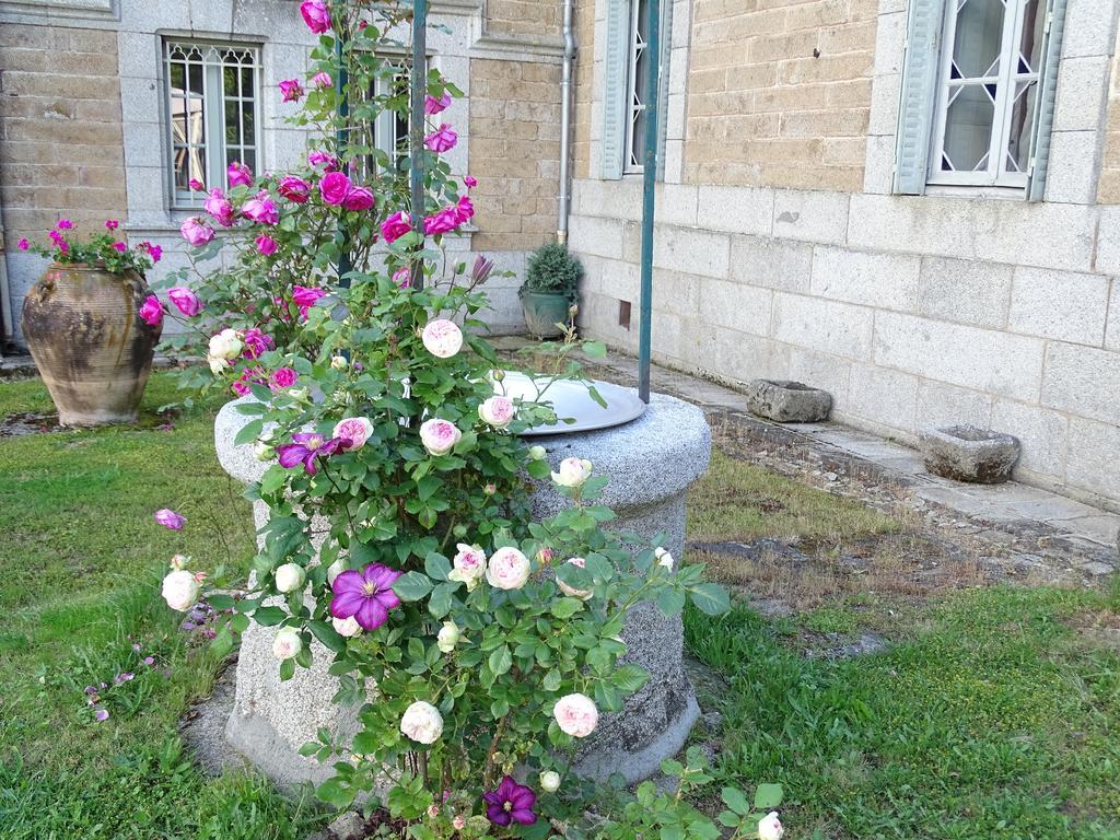 Chateau De Crocq - Chambres D'Hotes De Charme Exterior photo